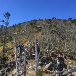弥山～八経ヶ岳～明星ヶ岳縦走！関西最高峰の縦走路はそらもうっ神秘的