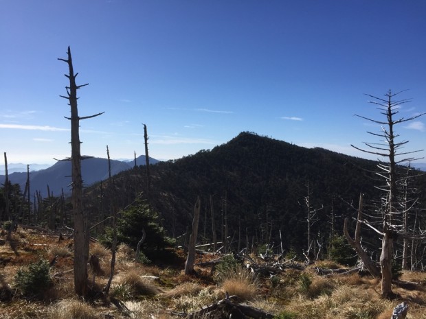 20151121-1022-弥山-八経ヶ岳083