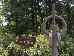 2016-06-26-1113-行者還岳-七曜岳-登山35