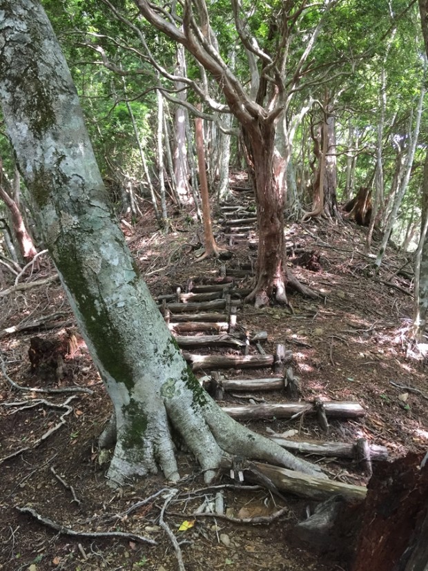 2016-06-26-2349-行者還岳-七曜岳-登山05